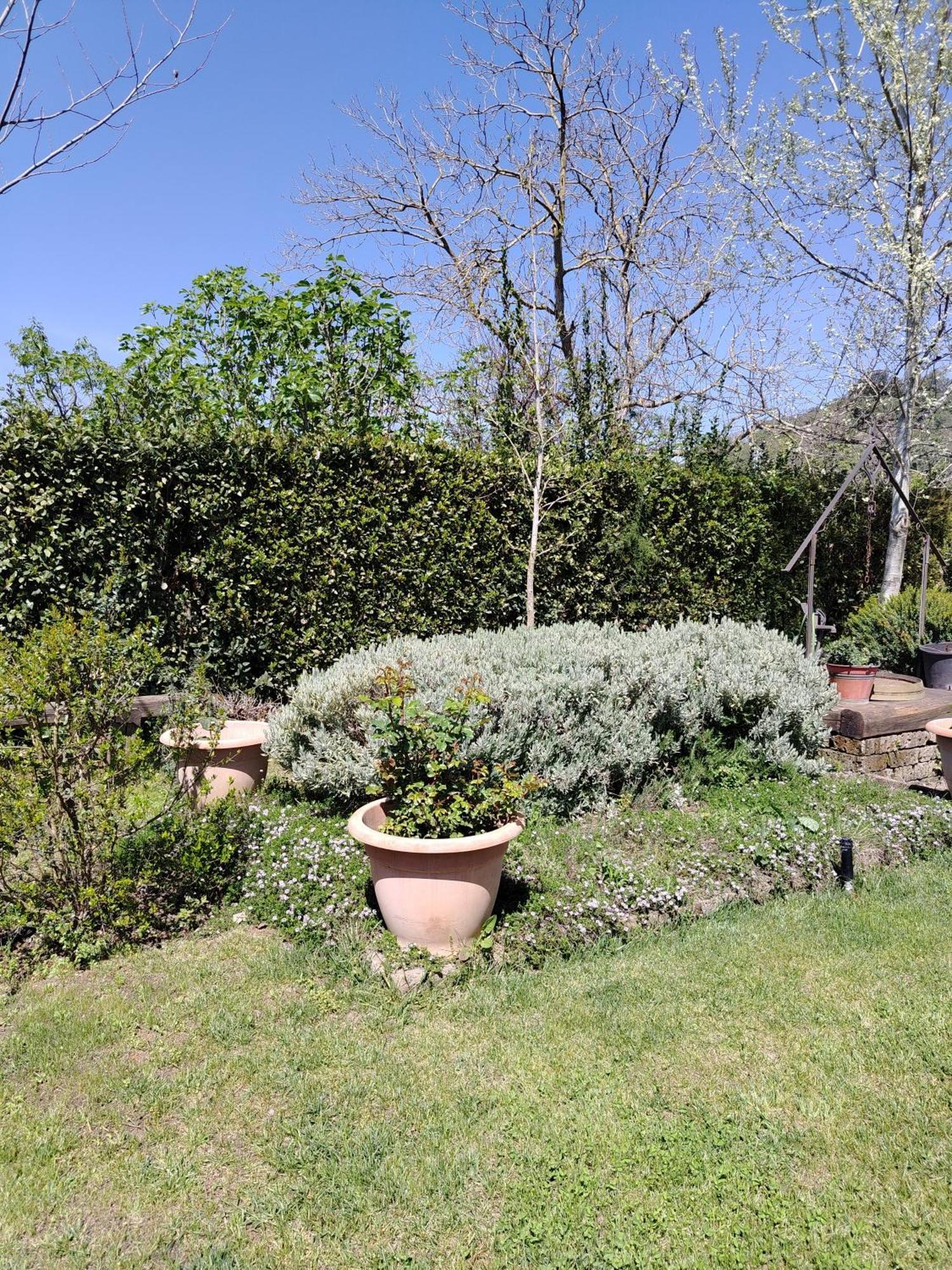 Guest House Romana Vecchia Monticchio  ภายนอก รูปภาพ
